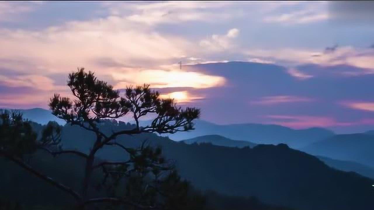 极限摩托车大赛